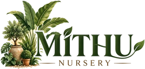 Mithu Nursery